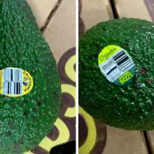 Massive Avocado Recall Announced Over Listeria Concerns (Including Organic Varieties), Six States Affected