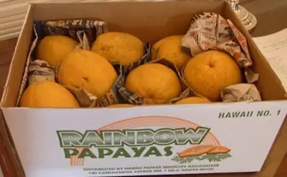 rainbow papayas 