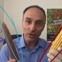 Farmer Conducts Experiment Using GMO and Non-GMO Corn, Discovers Sobering Truth That Animals Know and Humans Don’t