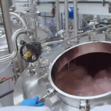 Six-Minute Video Shows How Lab Technicians Isolate “Meat-Like Compounds” to Create the GMO Impossible Burger