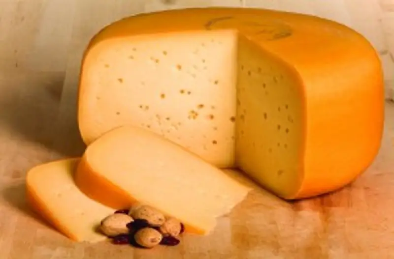 gouda cheese block