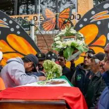 Second Monarch Butterfly Activist Found Dead in Mexico