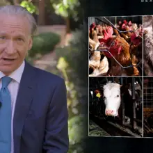 TV Host Bill Maher Calls Out Factory Farming in the U.S., Compares it to Wet Markets in Wuhan, China
