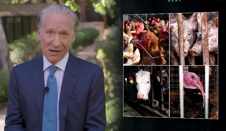 bill maher coronavirus rant