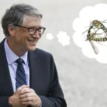 Bill Gates-Funded Company Given EPA Approval to Release Thousands of GMO Mosquitoes in Two U.S. States