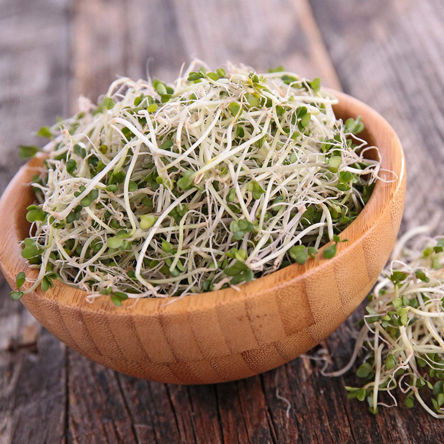 broccoli sprouts idaho