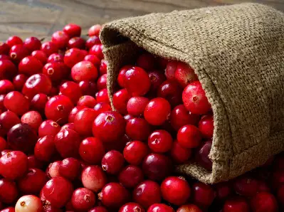 cranberry juice for UTI