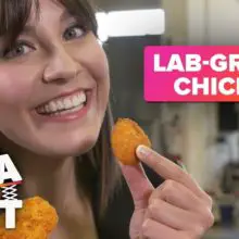 Lab-Grown Chicken Nuggets Made From Feathers Likely to Hit Shelves Sometime in Near Future