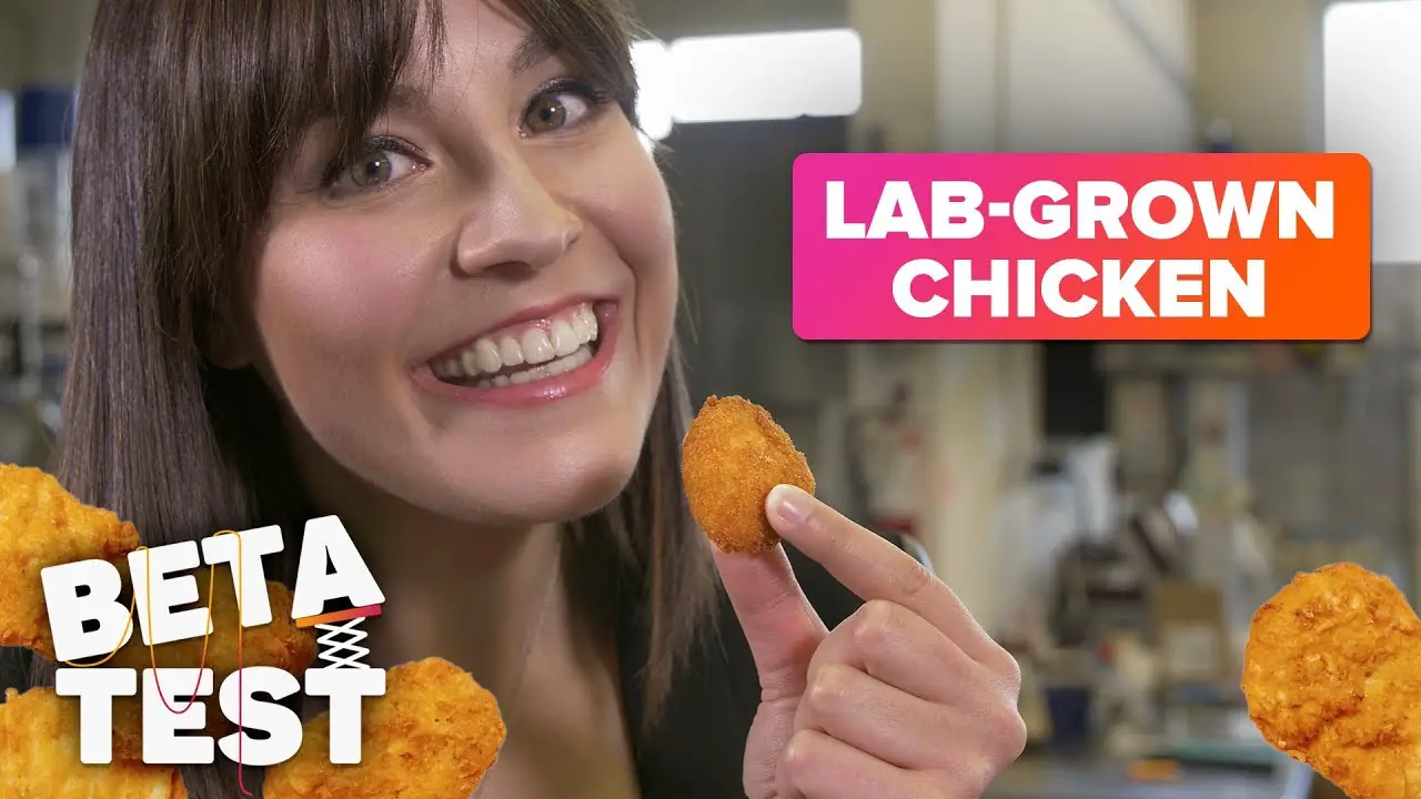 Lab Grown Chicken Nuggets Made From Feathers Likely To Hit Shelves