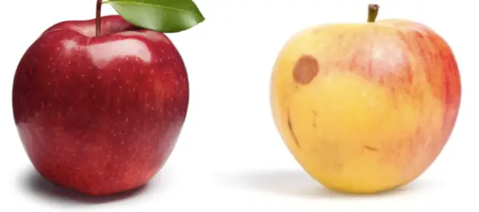 conventional apple vs regular apple