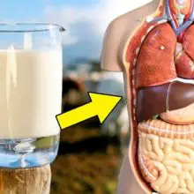 Australian Researchers Develop Raw Milk Processing Technique That Won’t Destroy Nutrients — Unlike Pasteurization