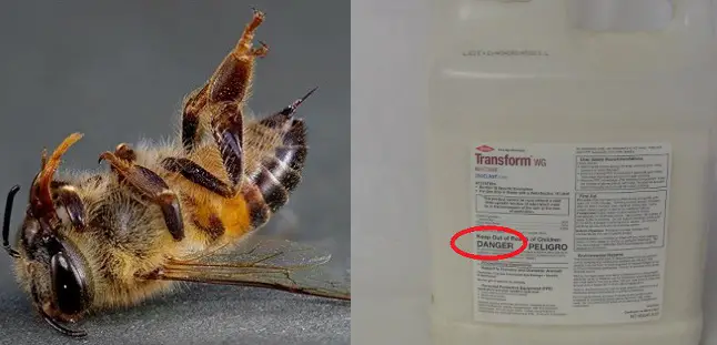 bee killing chemical lawsuit