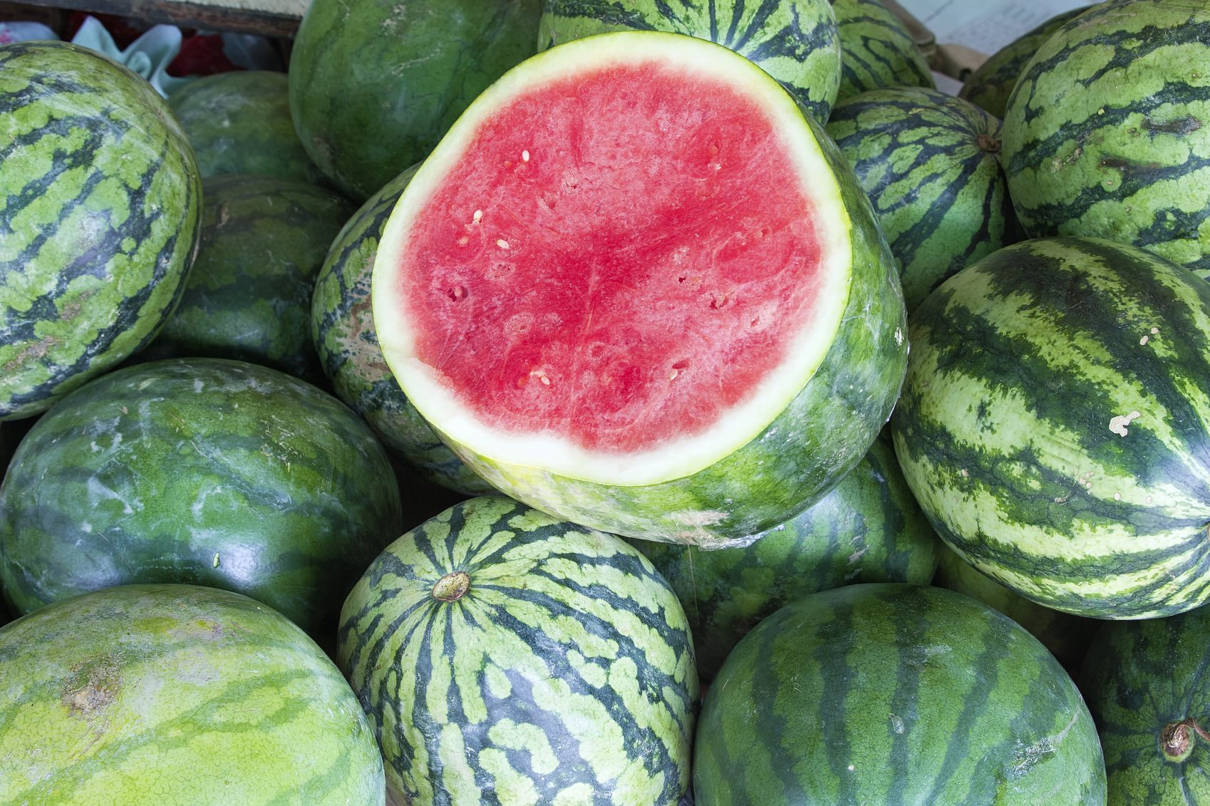 monsanto watermelon is it gmo