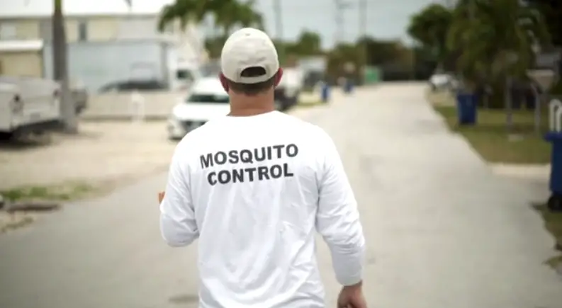 oxitec gmo mosquitoes