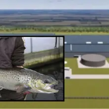 Biotech Company Announces $300 Million Plan to Farm 10,000 Metric Tons of GMO Salmon in Ohio