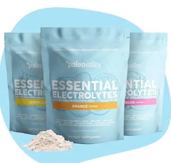 Paleo Valley Essential Electrolytes. 