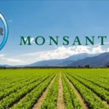 Investors Demanding Billions From Monsanto As Part of New Class Action Lawsuit