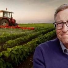 GMO Wheat Takeover? North Dakota Residents “Livid” as Bill Gates Acquires Legal Approval for Controversial Land Purchase