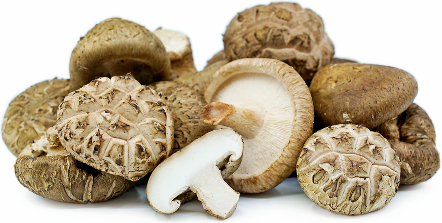 shiitake mushrooms fulvic ionic minerals