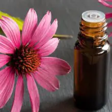 This Flower is One of the Best Ways to Reduce Inflammation, Improve Feelings of Anxiety and Stave Off the Flu