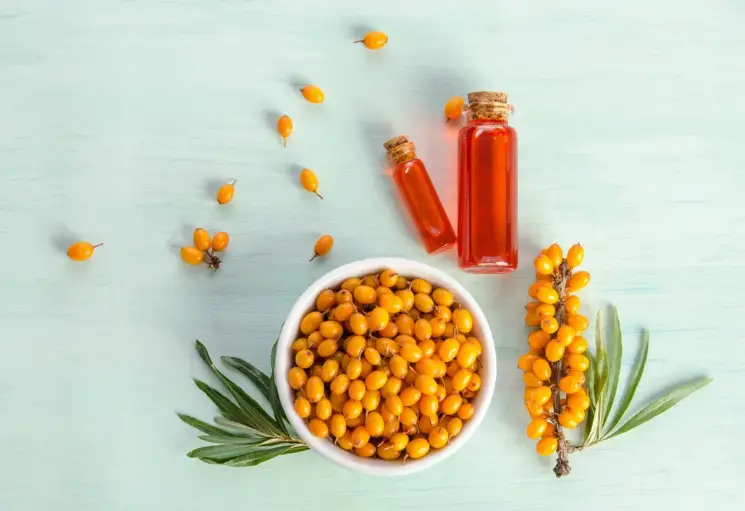 sea buckthorn oil