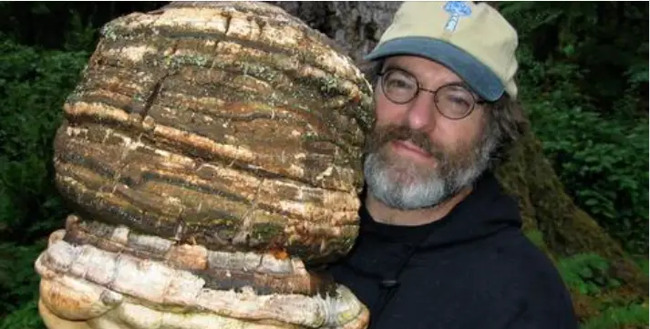 Paul Stamets, Mushrooms, Patents, Monsanto