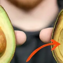 California Biotech Company Creates ‘GMO Avocadoes That Won’t Spoil’ — Here’s What You Need to Know