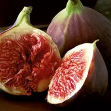 How to Make a Fig Poultice to Heal Wounds, Boils, Skin Infections and Much More