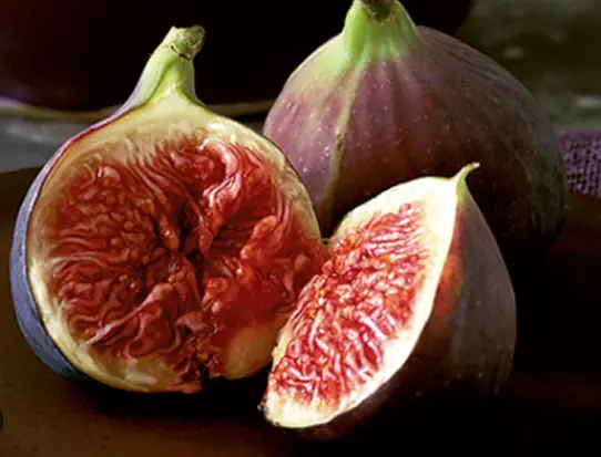 Fig poultice, how to make a fig poultice, figs for medicine
