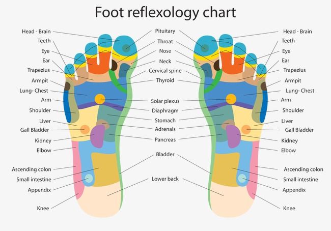 Meridian points of the toes for essential oil roll-ons and such. 