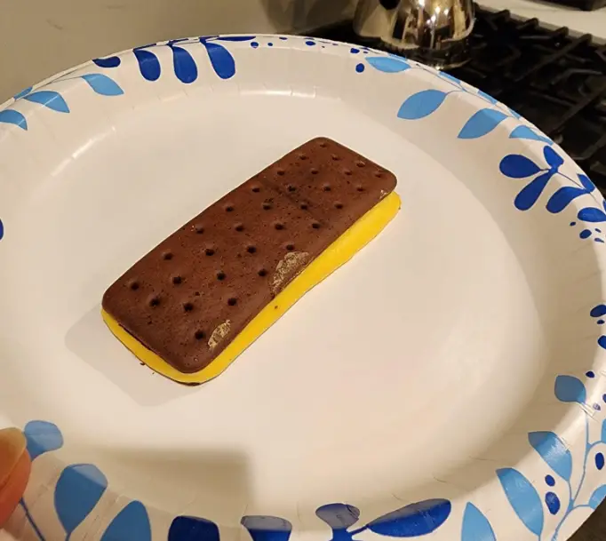 Mom Leaves Walmart Ice Cream Sandwich Out For 12 Hours, Shocked To Find ...