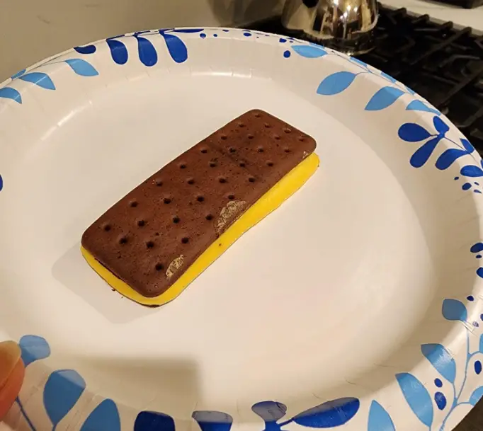 Ebonie Marie-Baxter left a Wal-Mart ice cream sandwich on the counter for half of a day and was shocked to find it didn't melt. 
