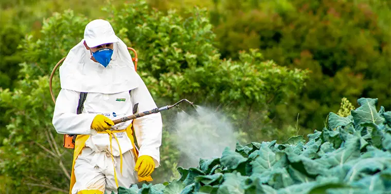 Agricultural chemicals can lead to cancer and deaths in the farm workers population. 