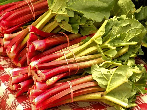 Rhubarb is a sour yet sweet vegetable that many people think is a fruit. 