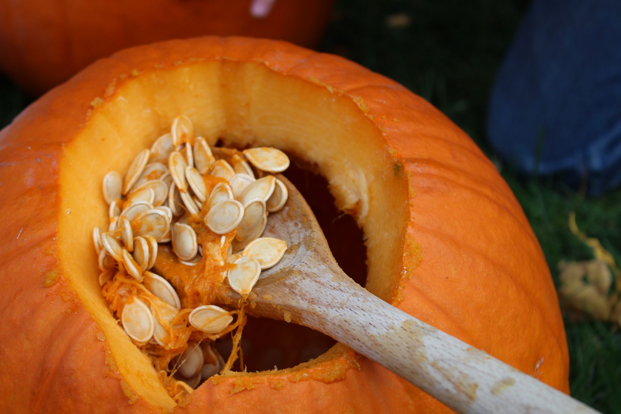 Pumpkin seeds what they didn't tell you about their health benefits.