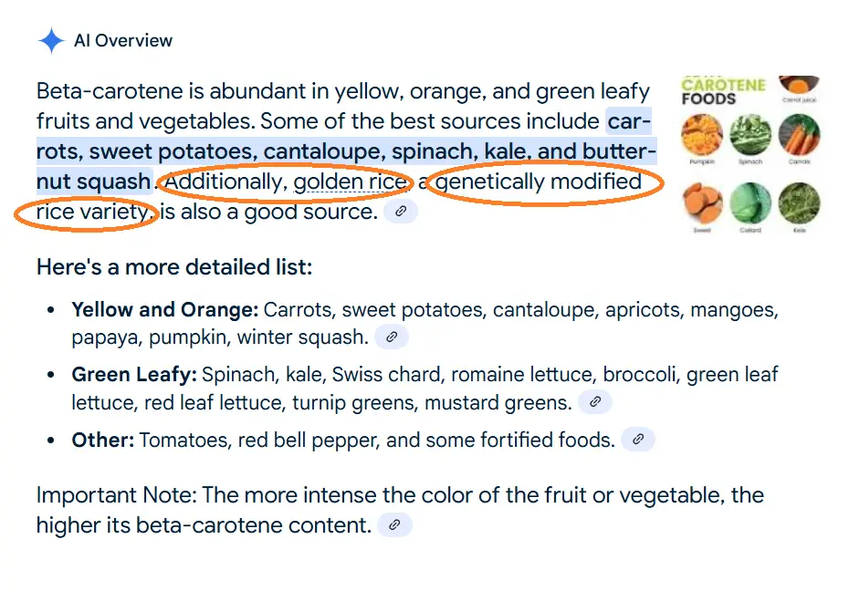 Genetically modified golden rice on AI Overview from Google.