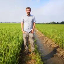 Google Begins Promoting Controversial GMO Crop Through AI Search Function